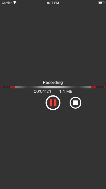 You Record Pro screenshot-0