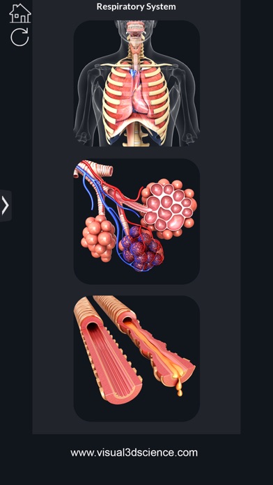 How to cancel & delete My Respiratory System Anatomy from iphone & ipad 2