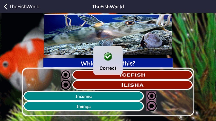 Fishes Identifying Games screenshot-4