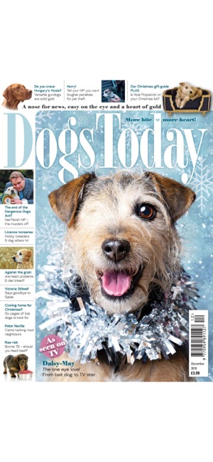 Dogs Today Magazine(圖7)-速報App