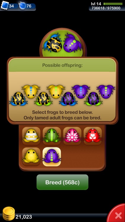 Pocket Frogs screenshot-4