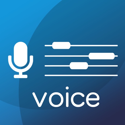 VOICE TUNER PRO 13