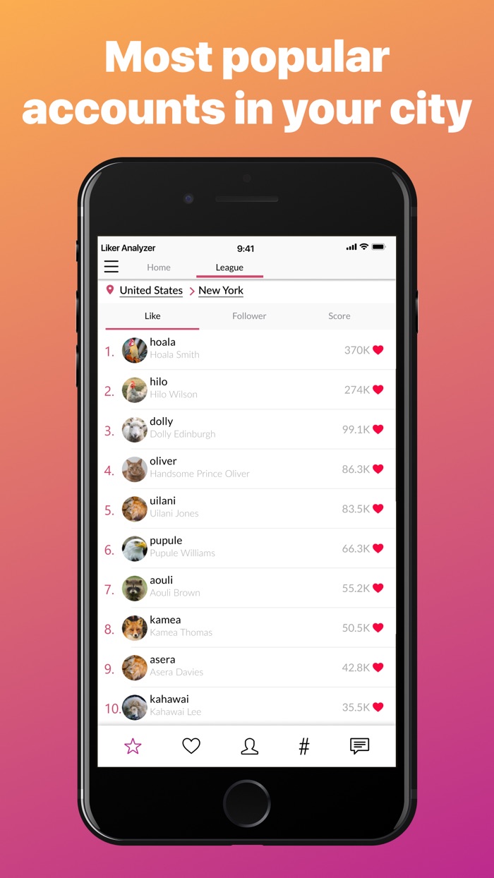 Liker Analyzer for Instagram