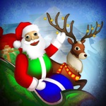Baldy Fly Happy Christmas
