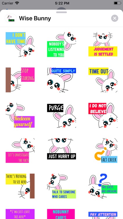 Wise Bunny