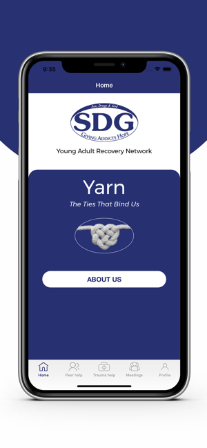 YARN –Recovery Support(圖2)-速報App