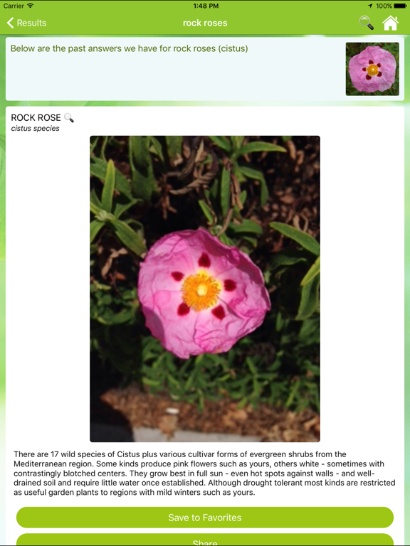 Garden Answers Plant Identification screenshot