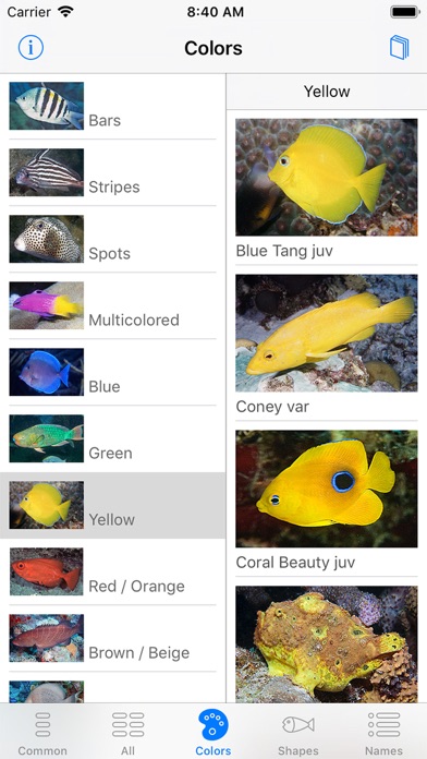 Easy Fish ID Caribbean screenshot 4