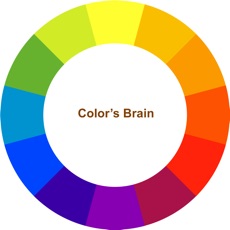 Activities of Colors Brain Game