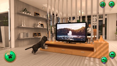 My Virtual Pet: Cat Simulator screenshot 2
