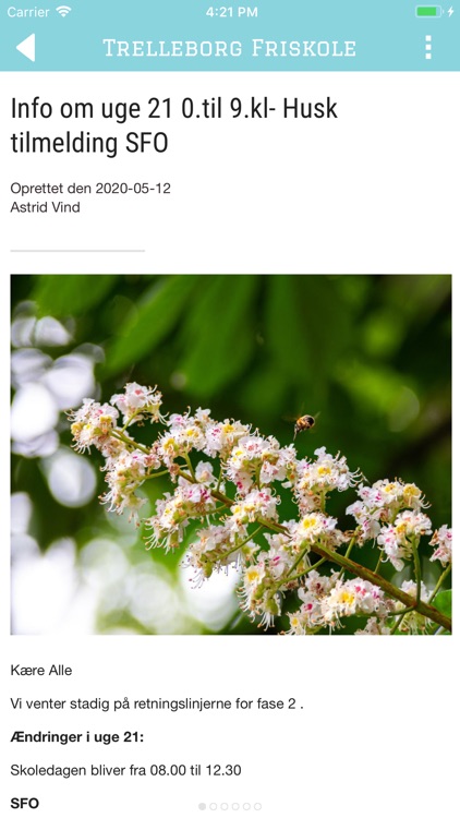Trelleborg Friskole screenshot-3