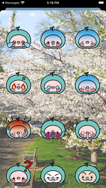 青青青包包
