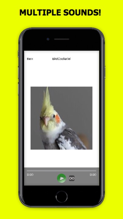 Cockatiel Sounds+ Bird Sounds! screenshot 3