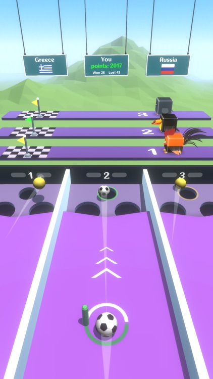 Bird Race