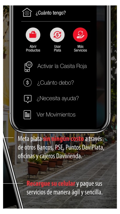 DaviPlata screenshot-4