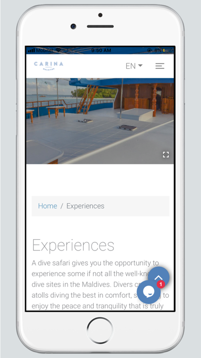 Carina Maldives screenshot 4