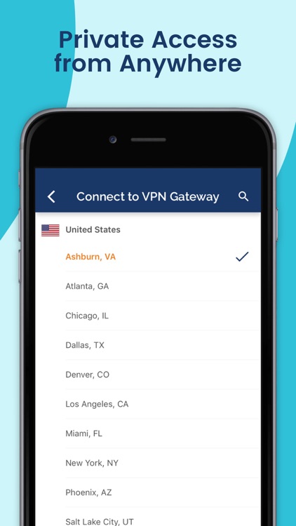 Private Tunnel VPN