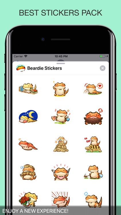 Beardie Chat Stickers screenshot-3