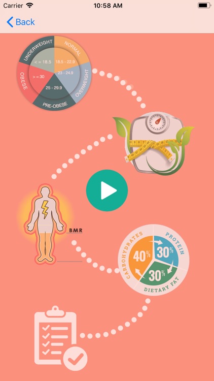 Health Metrics - BMI, BMR, IBW