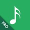 MusicBuddy Pro