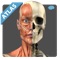 Anatomy Atlas Free