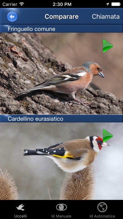 Canzoni d'uccelli screenshot-3