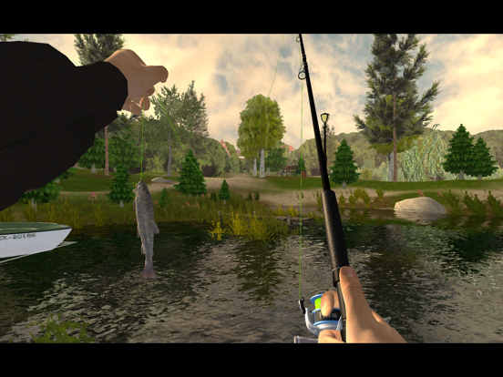 Игра Professional Fishing