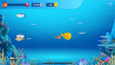 Little Carp Adventure screenshot 3