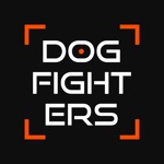 Dogfighters - online shooter