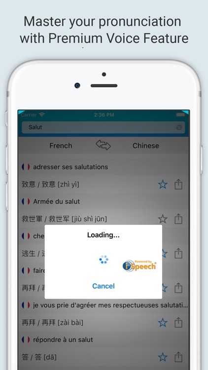 French Chinese Dictionary + screenshot-3