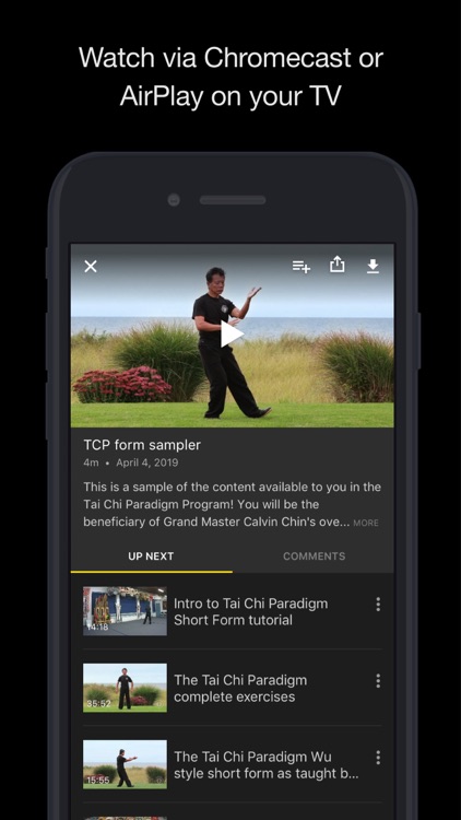 Tai Chi Paradigm screenshot-4