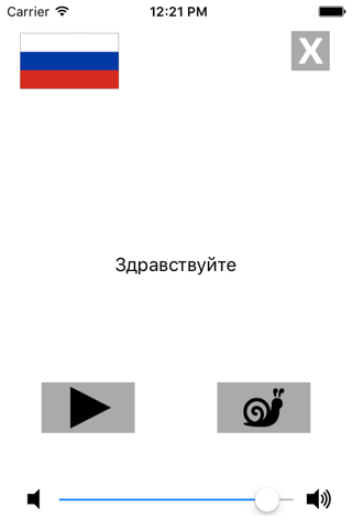Learn Russian Phrases / Words screenshot 4