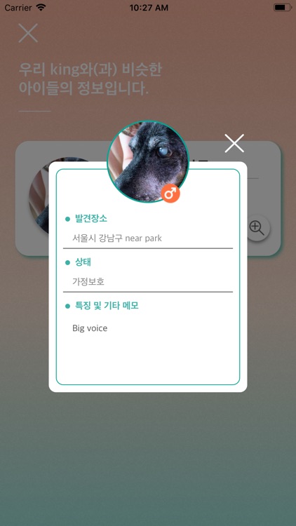 누구개 screenshot-8