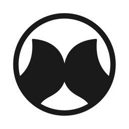 Darbut - markowe obuwie