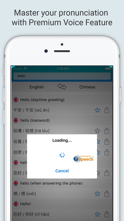 English Chinese Dictionary + screenshot-3