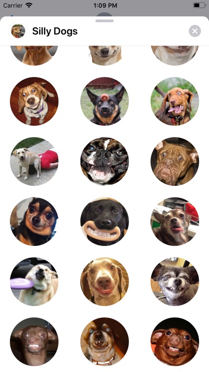 Silly Dogs Sticker Pack