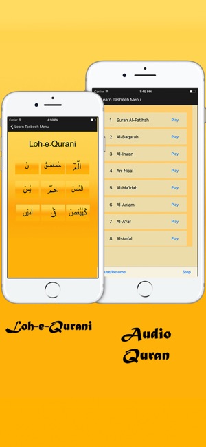 Learn Tasbeeh(圖3)-速報App