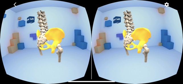 QUT Pelvis VR Trial(圖6)-速報App