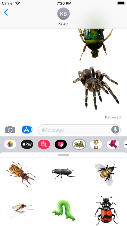 Insects Stickers screenshot-3