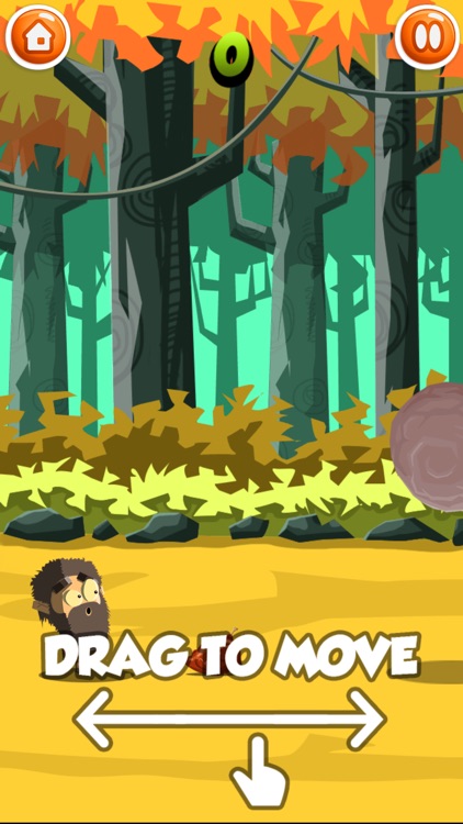 Caveman Forest Adventures