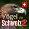 Almost 10,000 species of birds are currently known worldwide
