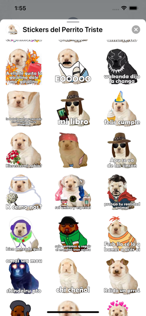 Stickers del Perrito Triste(圖2)-速報App