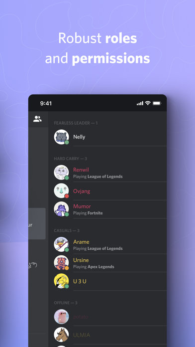 Discord Screenshot 4