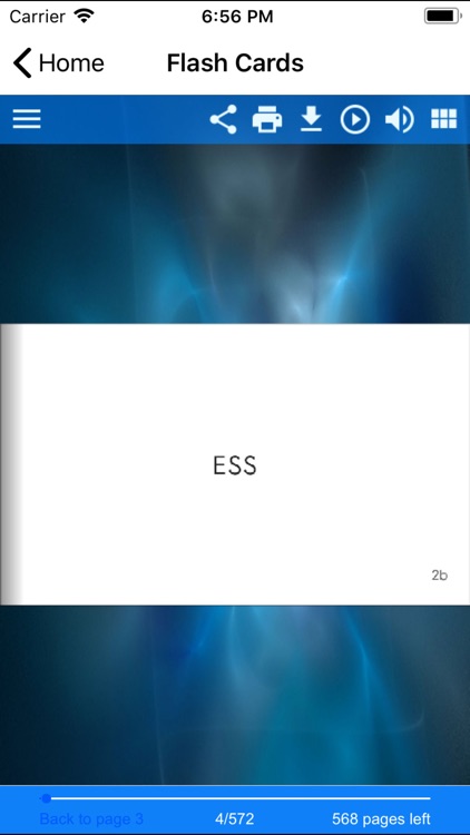 DSST Information Systems Prep screenshot-8