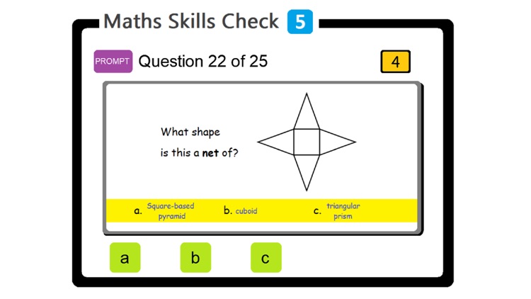PAM Maths Skills Check 5 screenshot-4