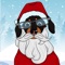 #1 Dachshund Emoji Dog App thanks to Crusoe turned into a sausagemoji