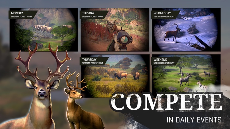 Deer Hunter World: The Hunt screenshot-3