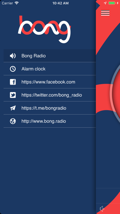 Bong Radio screenshot 2
