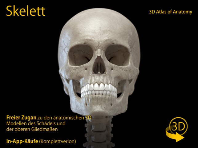 Skelett 3d Anatomie Im App Store