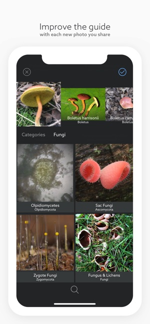 Fungi by Fieldguide(圖6)-速報App